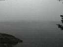 ./images/koeye/fitz-hugh/20180926/fitz-hugh20180926_064502.jpg