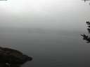 ./images/koeye/fitz-hugh/20180926/fitz-hugh20180926_070502.jpg