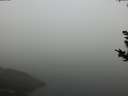./images/koeye/fitz-hugh/20180926/fitz-hugh20180926_094501.jpg