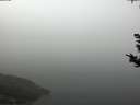 ./images/koeye/fitz-hugh/20180926/fitz-hugh20180926_095002.jpg