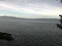 ./images/koeye/fitz-hugh/20180926/fitz-hugh20180926_114501.jpg
