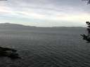 ./images/koeye/fitz-hugh/20180926/fitz-hugh20180926_115501.jpg