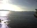 ./images/koeye/fitz-hugh/20180926/fitz-hugh20180926_160501.jpg