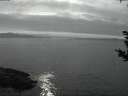 ./images/koeye/fitz-hugh/20180927/fitz-hugh20180927_064501.jpg