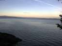 ./images/koeye/fitz-hugh/20180927/fitz-hugh20180927_074502.jpg