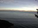 ./images/koeye/fitz-hugh/20180927/fitz-hugh20180927_090501.jpg