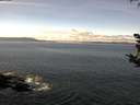 ./images/koeye/fitz-hugh/20180927/fitz-hugh20180927_122501.jpg