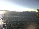 ./images/koeye/fitz-hugh/20180927/fitz-hugh20180927_151501.jpg