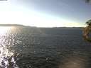 ./images/koeye/fitz-hugh/20180927/fitz-hugh20180927_152001.jpg