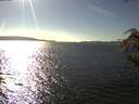 ./images/koeye/fitz-hugh/20180927/fitz-hugh20180927_161501.jpg