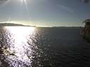 ./images/koeye/fitz-hugh/20180927/fitz-hugh20180927_163502.jpg
