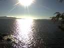 ./images/koeye/fitz-hugh/20180927/fitz-hugh20180927_171502.jpg