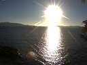 ./images/koeye/fitz-hugh/20180927/fitz-hugh20180927_181501.jpg
