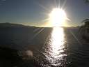 ./images/koeye/fitz-hugh/20180927/fitz-hugh20180927_182501.jpg