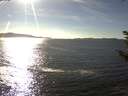 ./images/koeye/fitz-hugh/20180928/fitz-hugh20180928_162501.jpg