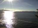 ./images/koeye/fitz-hugh/20180928/fitz-hugh20180928_164001.jpg