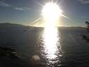 ./images/koeye/fitz-hugh/20180928/fitz-hugh20180928_180501.jpg