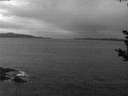 ./images/koeye/fitz-hugh/20180930/fitz-hugh20180930_065501.jpg
