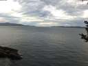 ./images/koeye/fitz-hugh/20180930/fitz-hugh20180930_084502.jpg