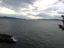 ./images/koeye/fitz-hugh/20180930/fitz-hugh20180930_092001.jpg