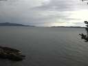 ./images/koeye/fitz-hugh/20180930/fitz-hugh20180930_112502.jpg