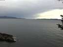 ./images/koeye/fitz-hugh/20180930/fitz-hugh20180930_123501.jpg