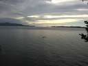 ./images/koeye/fitz-hugh/20180930/fitz-hugh20180930_161501.jpg