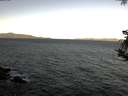 ./images/koeye/fitz-hugh/20181002/fitz-hugh20181002_091001.jpg