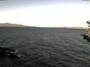 ./images/koeye/fitz-hugh/20181002/fitz-hugh20181002_094001.jpg