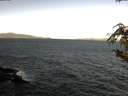 ./images/koeye/fitz-hugh/20181002/fitz-hugh20181002_095501.jpg