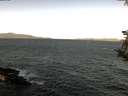 ./images/koeye/fitz-hugh/20181002/fitz-hugh20181002_104501.jpg