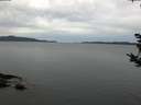 ./images/koeye/fitz-hugh/20181003/fitz-hugh20181003_080501.jpg