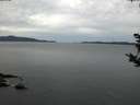 ./images/koeye/fitz-hugh/20181003/fitz-hugh20181003_081502.jpg