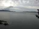 ./images/koeye/fitz-hugh/20181003/fitz-hugh20181003_102501.jpg