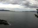 ./images/koeye/fitz-hugh/20181003/fitz-hugh20181003_115002.jpg
