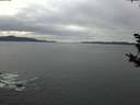 ./images/koeye/fitz-hugh/20181003/fitz-hugh20181003_192501.jpg