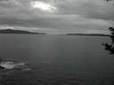 ./images/koeye/fitz-hugh/20181003/fitz-hugh20181003_194001.jpg