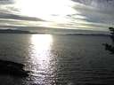 ./images/koeye/fitz-hugh/20181004/fitz-hugh20181004_171502.jpg