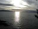./images/koeye/fitz-hugh/20181004/fitz-hugh20181004_174001.jpg