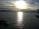 ./images/koeye/fitz-hugh/20181004/fitz-hugh20181004_175502.jpg