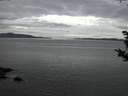 ./images/koeye/fitz-hugh/20181004/fitz-hugh20181004_193501.jpg
