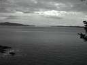 ./images/koeye/fitz-hugh/20181004/fitz-hugh20181004_194001.jpg