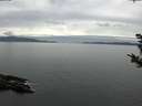 ./images/koeye/fitz-hugh/20181006/fitz-hugh20181006_143501.jpg