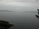 ./images/koeye/fitz-hugh/20181006/fitz-hugh20181006_171501.jpg