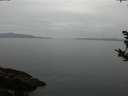 ./images/koeye/fitz-hugh/20181006/fitz-hugh20181006_173501.jpg