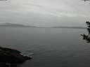 ./images/koeye/fitz-hugh/20181006/fitz-hugh20181006_180502.jpg