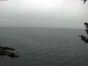 ./images/koeye/fitz-hugh/20181007/fitz-hugh20181007_095002.jpg