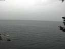 ./images/koeye/fitz-hugh/20181007/fitz-hugh20181007_103501.jpg