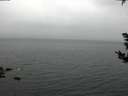 ./images/koeye/fitz-hugh/20181007/fitz-hugh20181007_104501.jpg