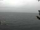 ./images/koeye/fitz-hugh/20181007/fitz-hugh20181007_141501.jpg